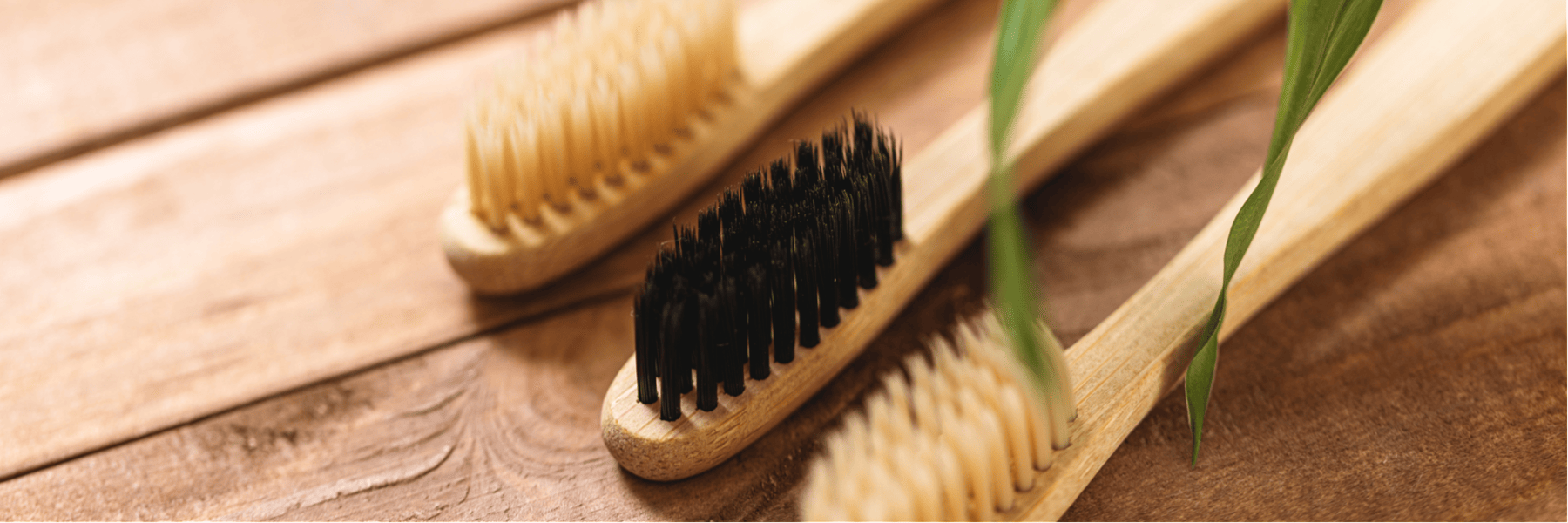 An image of a tooth brush in Louisville, KY